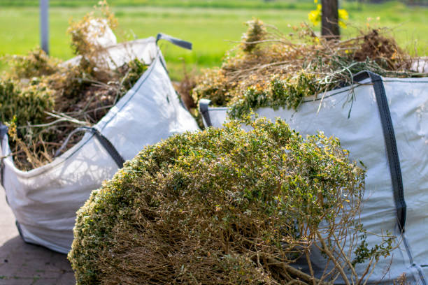 Best Commercial Junk Removal  in Paradise, NV