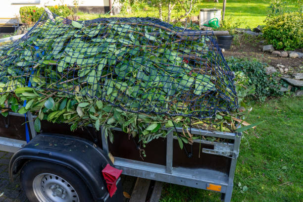 Best Same-Day Junk Removal Services  in Paradise, NV